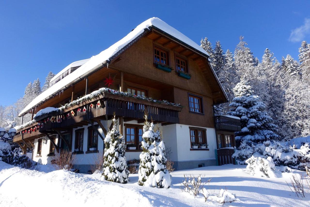 Hollhouse - Bed & Breakfast ヒンターツァルテン エクステリア 写真
